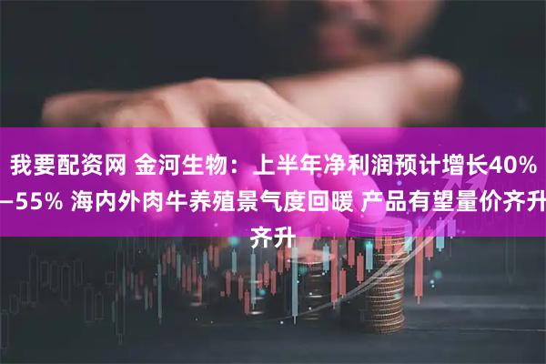 我要配资网 金河生物:上半年净利润预计增长40%—55% 海内外肉牛养殖景气度回暖 产品有望量价齐升