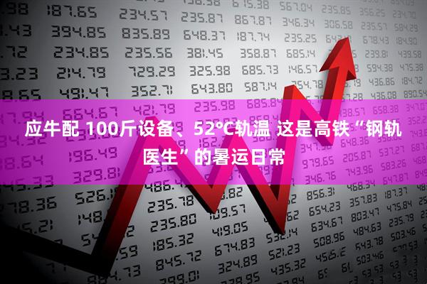 应牛配 100斤设备、52℃轨温 这是高铁“钢轨医生”的暑运日常